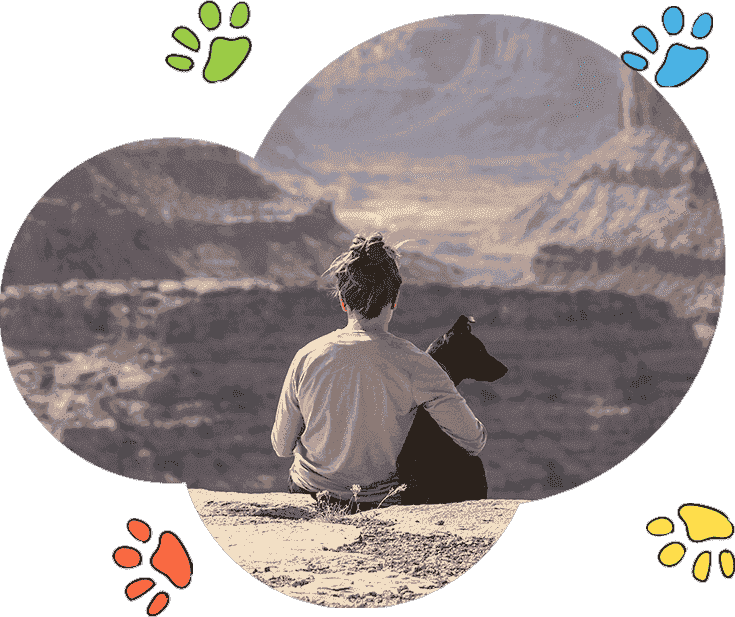 通用版兼容的ddos网页端源码